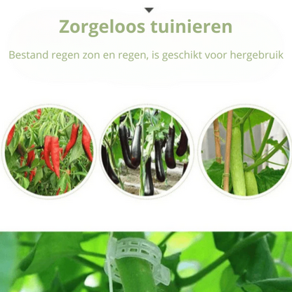 Greenclips | De perfecte ondersteuning voor je planten