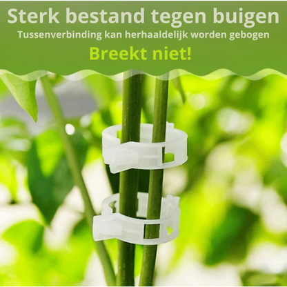 Greenclips | De perfecte ondersteuning voor je planten