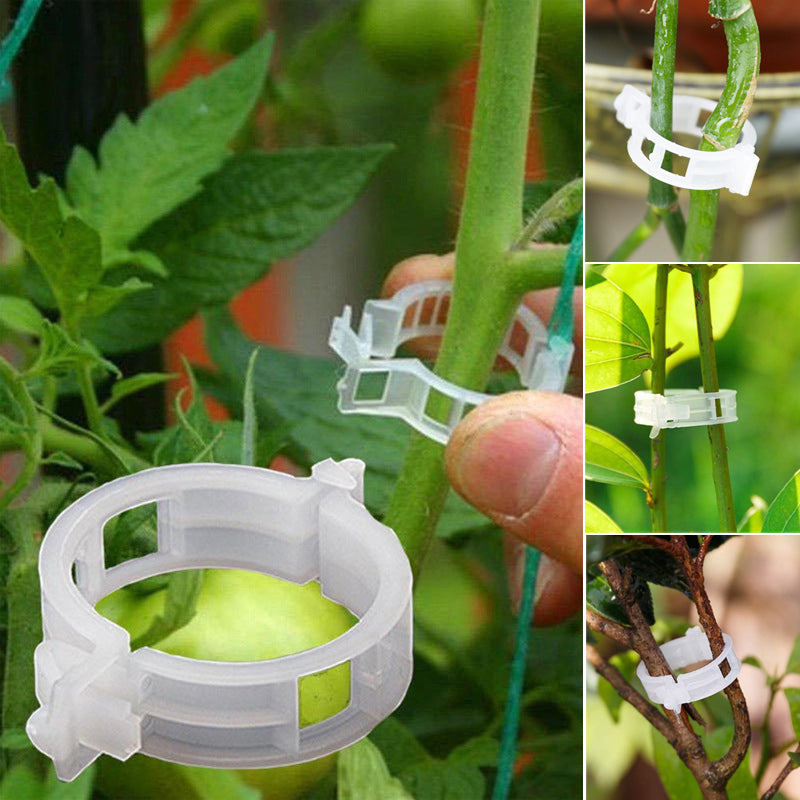 Greenclips | De perfecte ondersteuning voor je planten